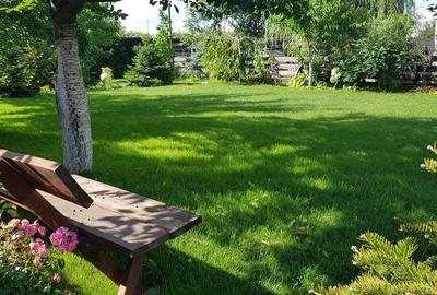 Casă individuală cu 5 camere cu Canalizare în Berceni - 10