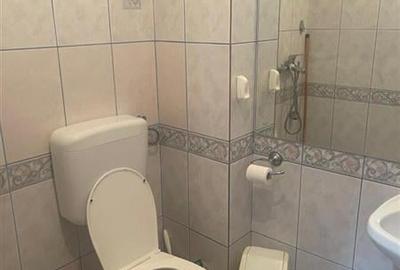 Parcul Circului, vila P+M, contructie 2001,6 camere, pretabil birou - 10