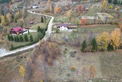 Teren de 2400 mp, în Borșa - 4