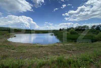 Teren de 10000 mp, în Șărmășag - 1