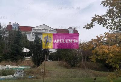 Casă cu Teren 3100 Mp în Băneasa - 6