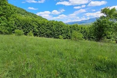 Teren  de vanzare la liziera padurii in Talmaciu - 9