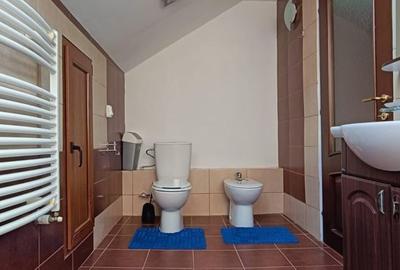 Vand casa cu teren de 900 mp in Harman - 14