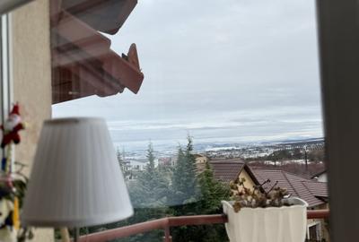 Casă individuală cu 10 camere cu Canalizare în Făget - 3