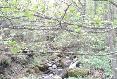 Teren în Central - 4