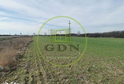 Teren de 21496 mp, în Saca - 6