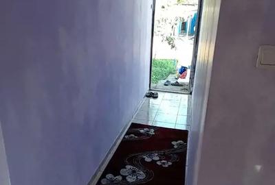 Casă cu 3 camere cu Teren 3850 Mp în Mitoc - 2