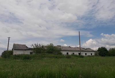 Abator pasari - Nadlac, Arad - 1