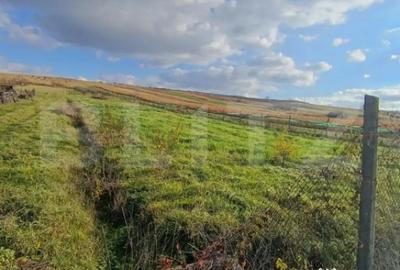 Teren de 7800 mp, în Central