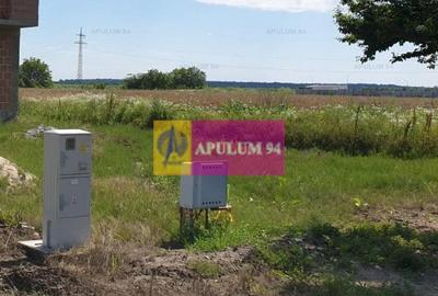 Teren construcție casă - 1 Decembrie - Zona Metropolitană București Teren construcție casă - 1 Decembrie - Zona Metropolitană București - 28