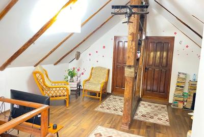 Casa de vacanta in Baiut - 5