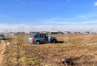 Teren intravilan, 7500 mp, zona Simnicul de sus - 3