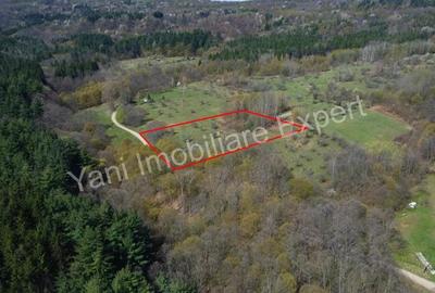 Teren de vanzare in Curtea de Arge?, strada Bu?aga. Teren de vanzare in Curtea de Arge?, strada Bu?aga. - 6