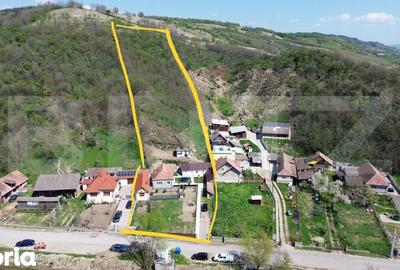 Casă cu 3 camere cu Teren 4700 Mp în Vințu de Jos - 5