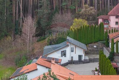 Vila moderna cu vedere spre padure Poiana Angelescu - 1