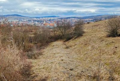 Teren de 24381 mp, în Central - 3