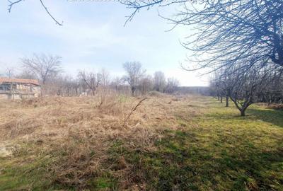 Casa D+P+M, situata in Arcani (Campofeni) - 4