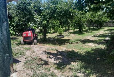 Casă individuală cu 2 camere cu Teren 1100 Mp în Beiu - 9