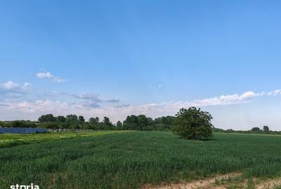 Teren de 9200 mp, în Clinceni - 6