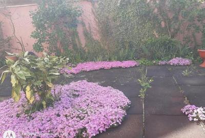 Apartament cu 2 camere decomandat în Ultracentral - 3