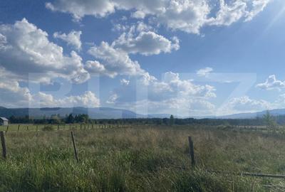 Teren de 3850 mp, în Central