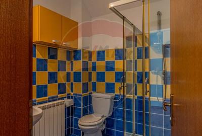 Casa CU POVESTE rezidential/ vacanta in Teliu cu 1700 mp ... - 8