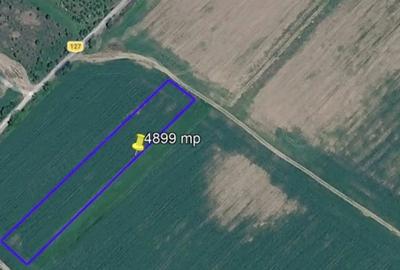 Teren de 4899 mp, în Cornetu