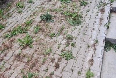 Vanzare casa individuala Gheorgheni, utilizabila si ca sediu de firma - 28