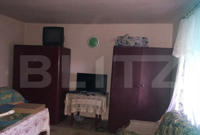 Casa batraneasca, 1500 mp teren, comuna Pomi - 5