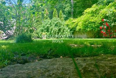 Vanzare Vila Baneasa - Willbrook - cu Deschidere la Padure ! Vanzare Vila Baneasa - Willbrook - cu Deschidere la Padure ! - 27