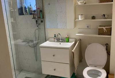 Apartament cu curte ,3 camere ,Selimbar ! - 5