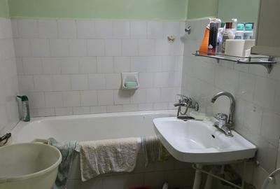 Jean Steriadi, 10 minute metrou 1 Decembrie 1918, langa Auchan Titan - 9