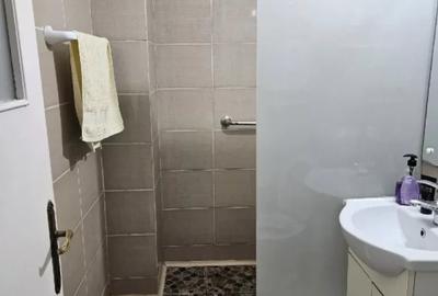 Apartament cu 4 camere semidecomandat, mobilat în Doamna Ghica - 8