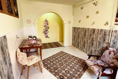 Apartament cu 2 camere semidecomandat în Cetate - 2