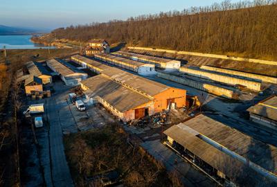 Spațiu industrial, de 50,000 mp, în Horgești - 4