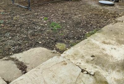 Casă cu 3 camere cu Teren 579 Mp în Chitila - 9