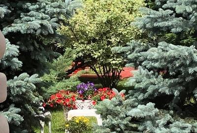 PROPRIETATE CU ENERGIE PURA |  Sanctuarul Eleganței și Rafinamentului - 19