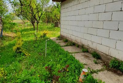 Teren de 5000 mp, în Careiului - 1