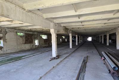 Hala , SC total 2048 MP , P+E, trifazic , teren 2000 mp, zona Borsului - 5