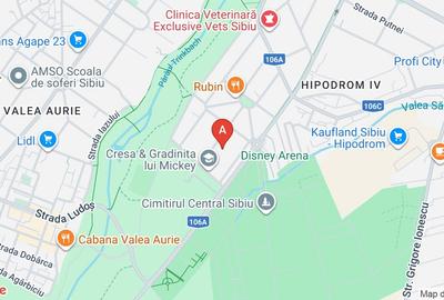 Proprietar vând casă în Sibiu cu două apartamente - 1