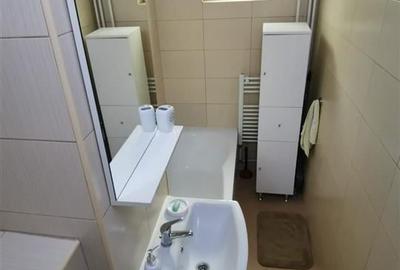 Apartament deosebit 2 camere parter zona Sagului - 17