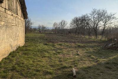 Casă în Vințu de Jos