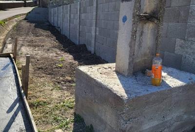 Teren de 5000 mp, în Valea Arini - 7