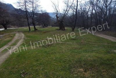 Teren de 3000 mp, în Bucșenești - 5