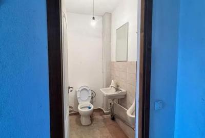 Spațiu comercial, de 360 mp, în Brestei - 3