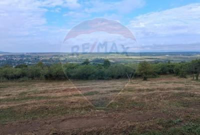 Teren Construcții intravilan de 5700 mp, în Sud-Vest - 7