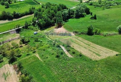 Teren agricol extravilan de 5240 mp, în Berchezoaia - 7