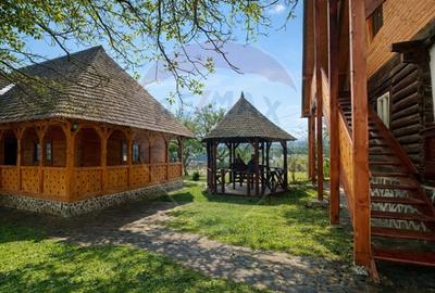 Doua case in stil maramuresean de vanzare in Breb/Maramures - 6