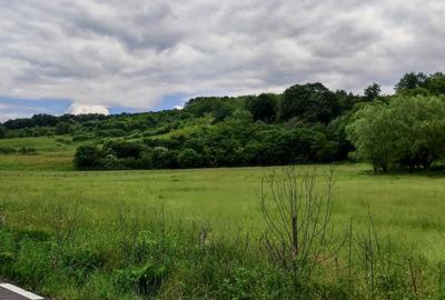 Teren la padure, panoramic dealuri si paduri, curent si asfalt - 9
