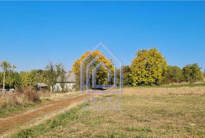 Teren constructie casa, Ilies, Dolhasca - 1